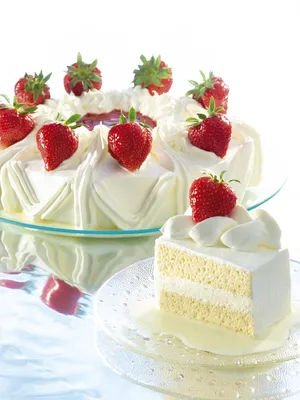 Dulcerio Tres Leches EXP x 1 L